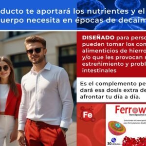 Ferrowell - Image 7