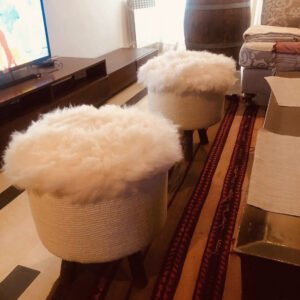 Laina Hayek - Image 11